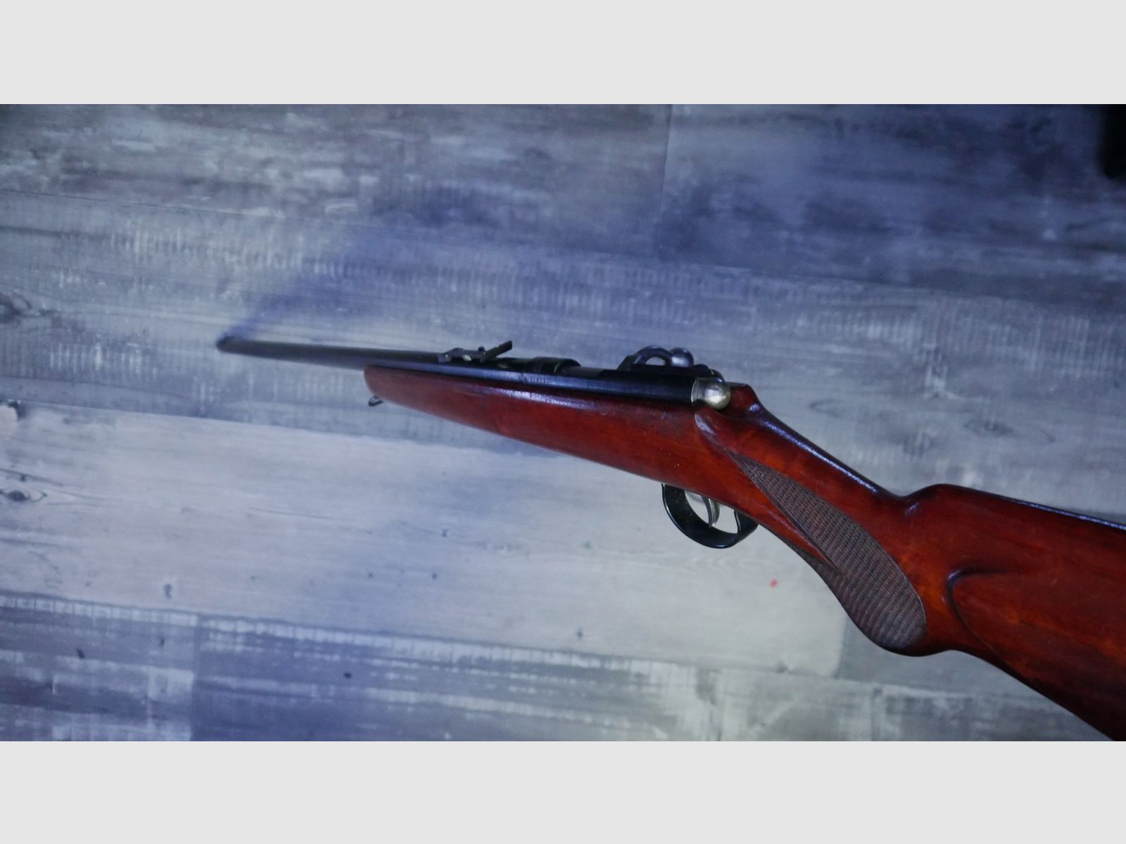 Anschütz single shot .22lr