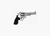 Smith & Wesson 629 6” barrel length, .44RemMag
