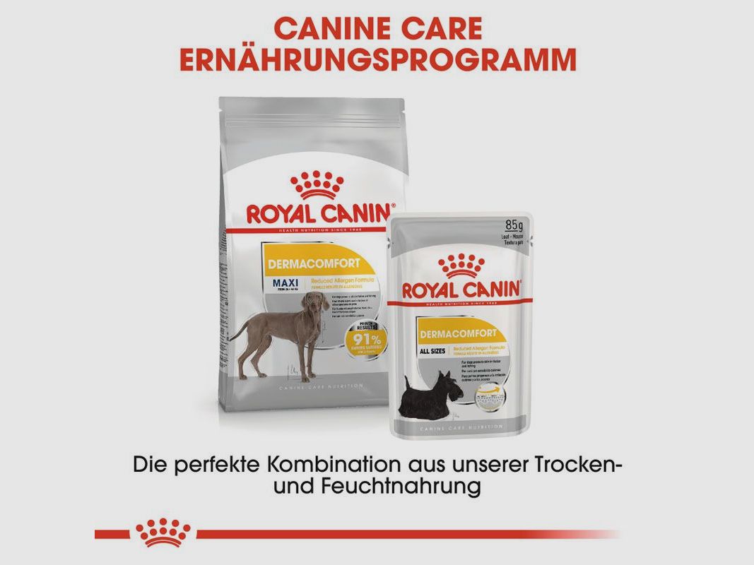 ROYAL CANIN Große Hunde Trockenfutter Dermacomfort Maxi für empfindliche Haut