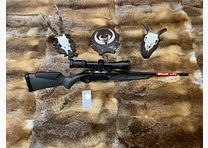 Benelli Lupo Granite Moos