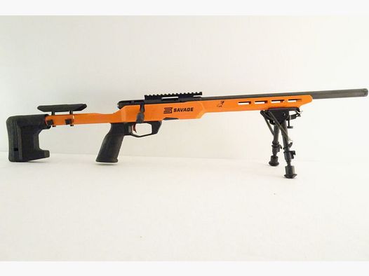 Savage B22