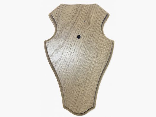 HEARING BOARD LIGHT - 19X12CM - ROUND