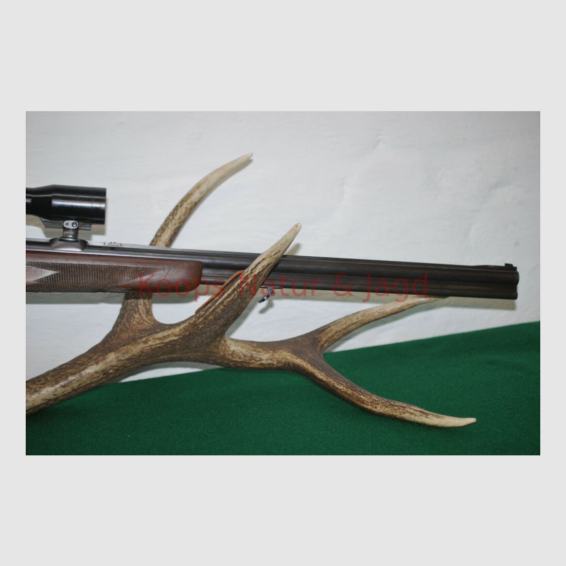 Sauer & Sohn 54