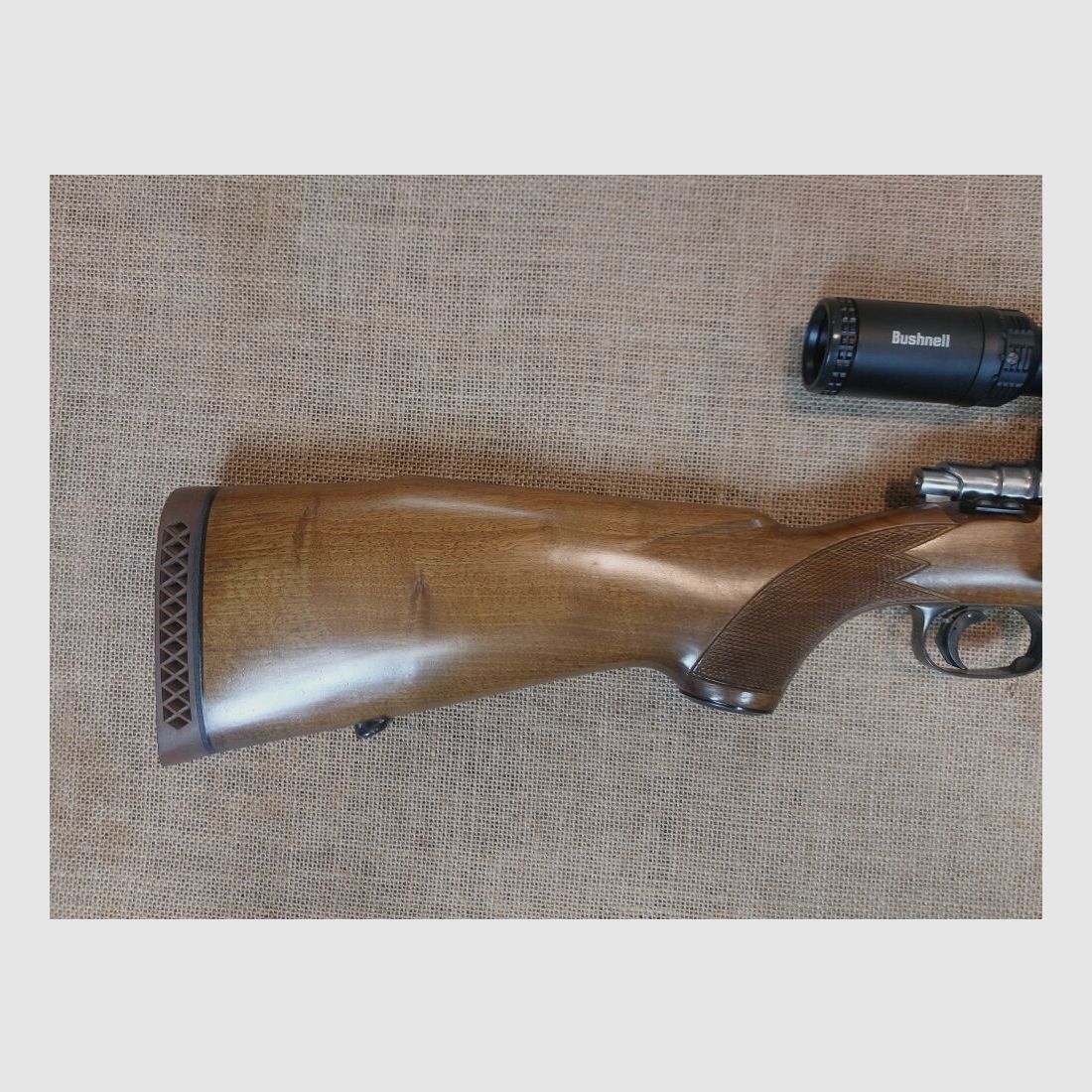Santa Barbara M98, Bild 6 von 10