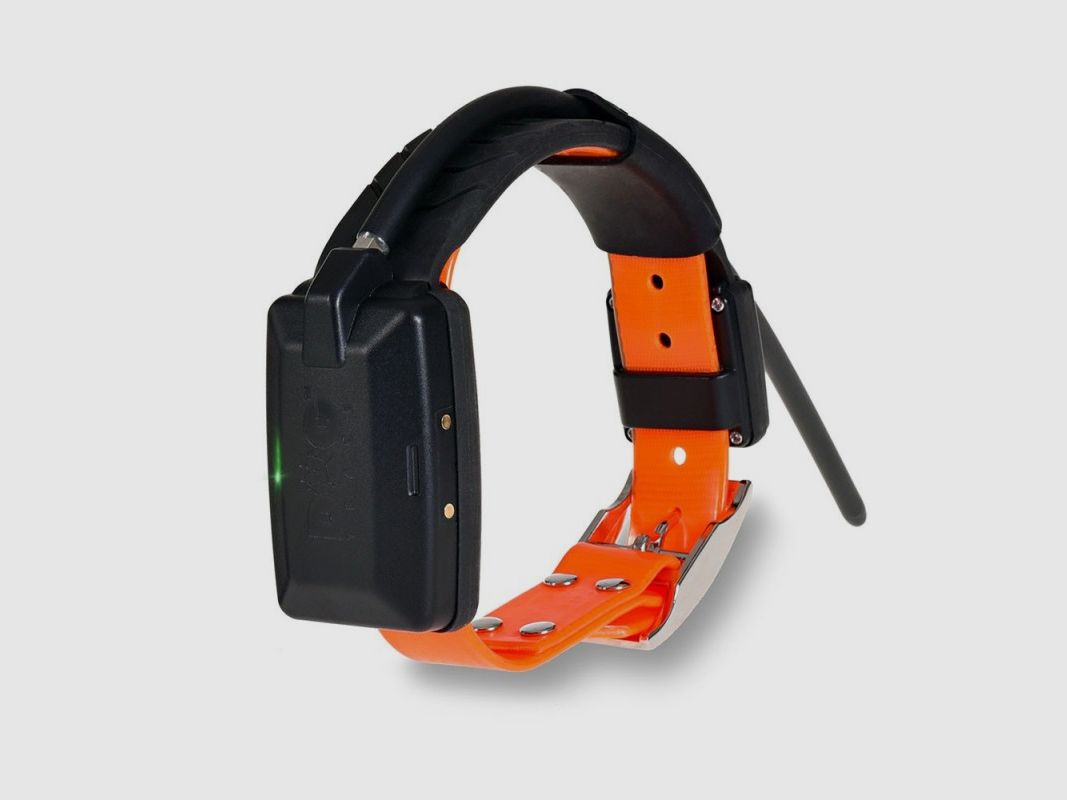 DOGTRACE GPS X30, Bild 3 von 23
