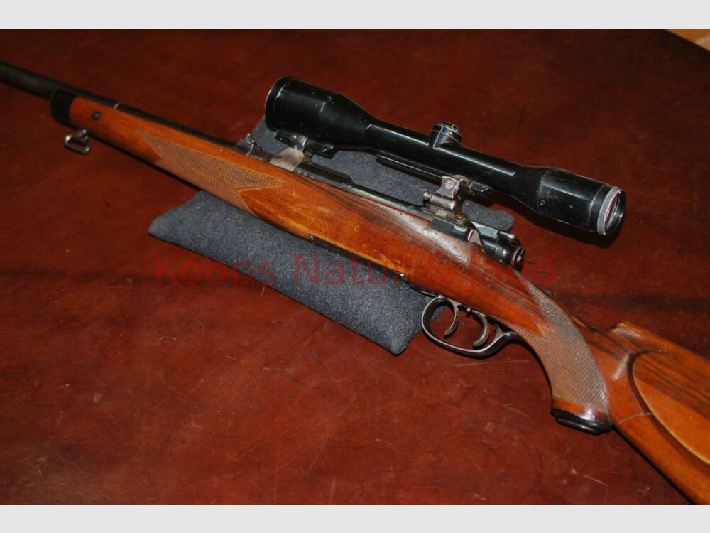 Steyr GK