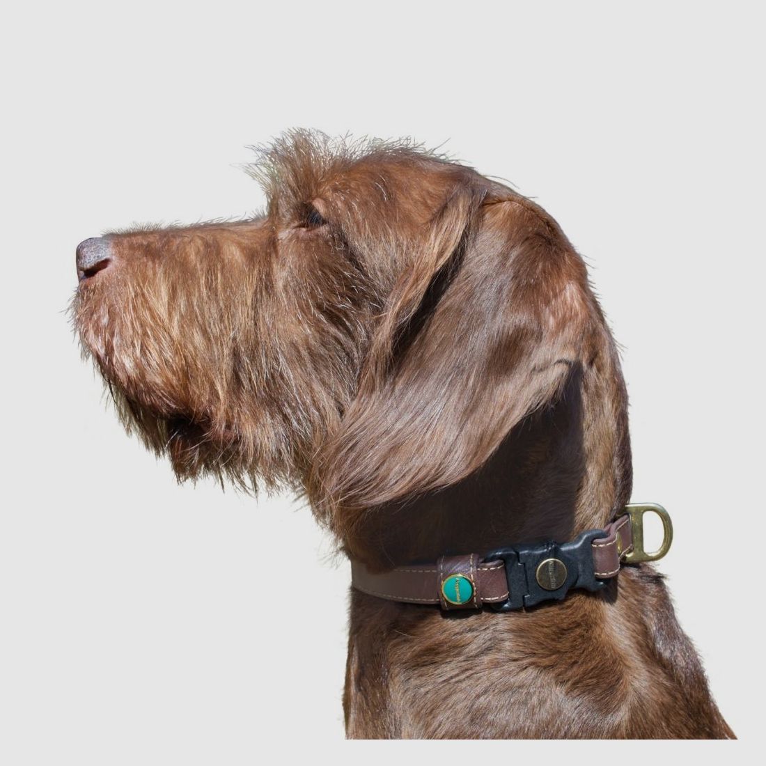 Collar de BioThane® Niggeloh Noble (XS), imagen 2 de 4