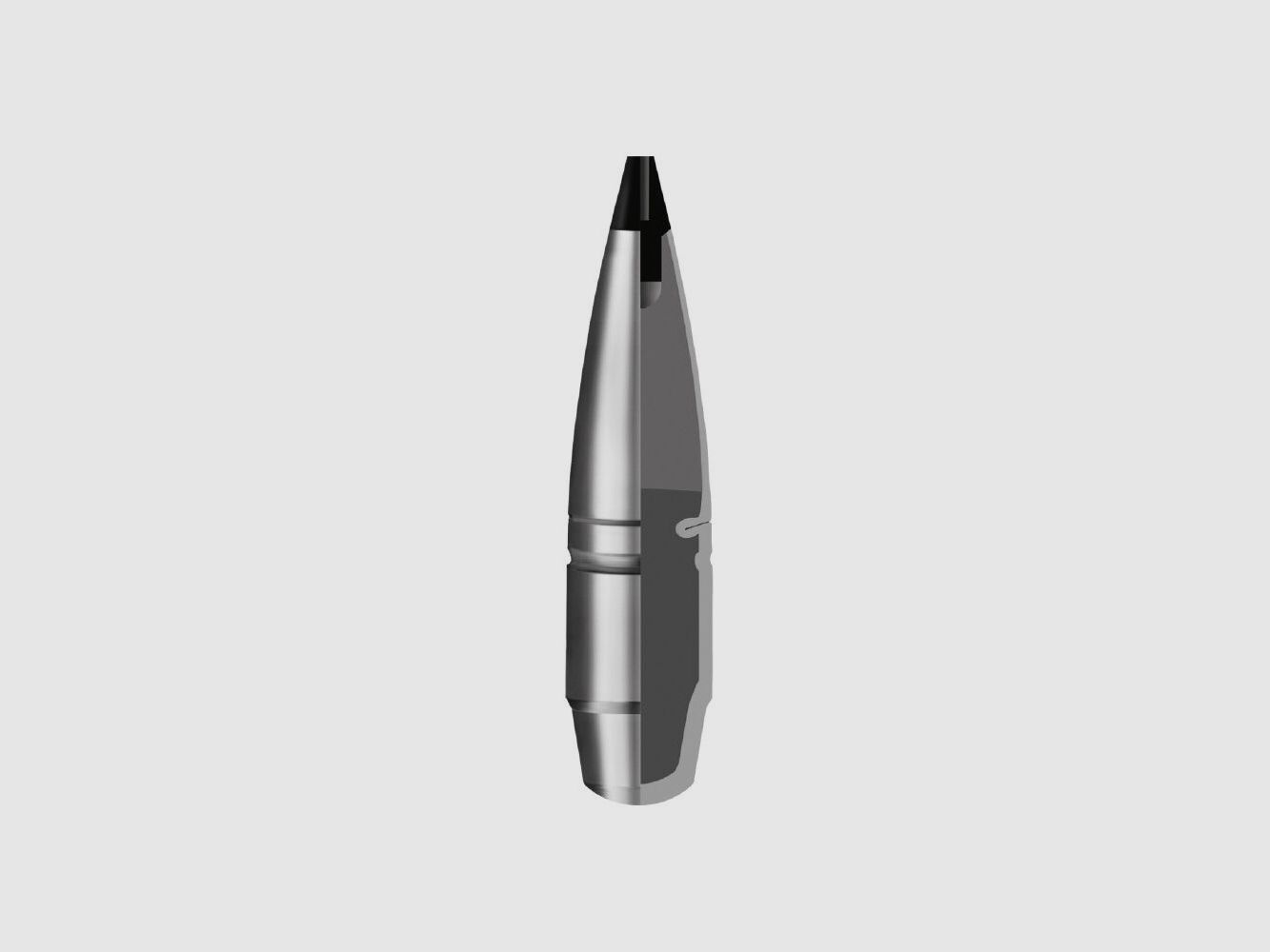 RWS Speed Tip Short 165gr 20pz .30-06Spring