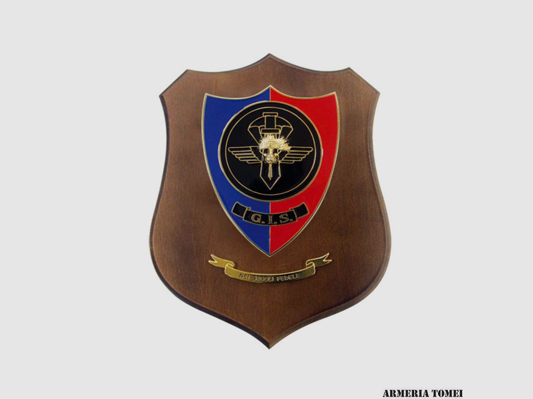 CREST – CARABINIERI GIS BICOLORE