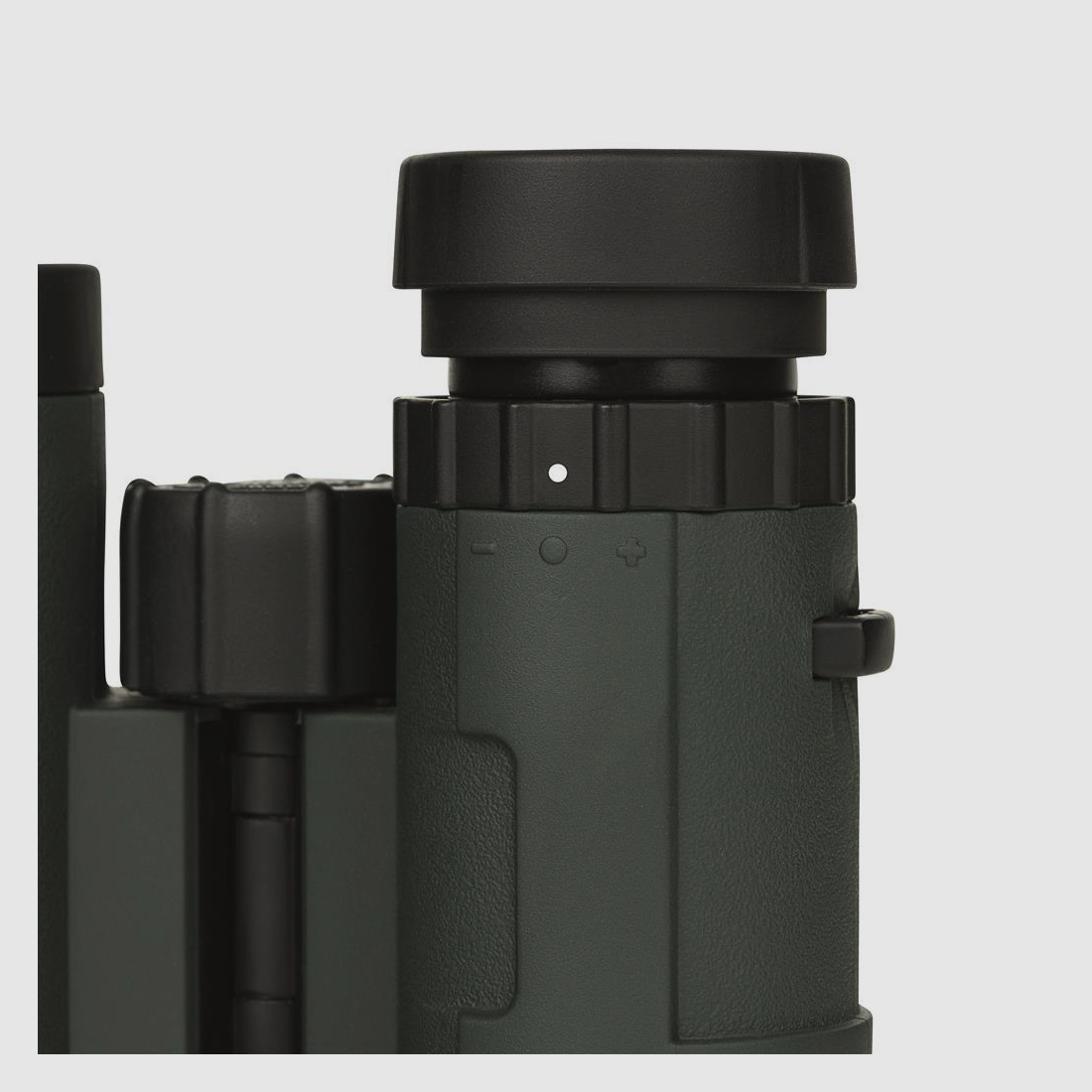 Dörr Fernglas Danubia Bussard I 10x32 Grün mit Tragetasche und Trageriemen