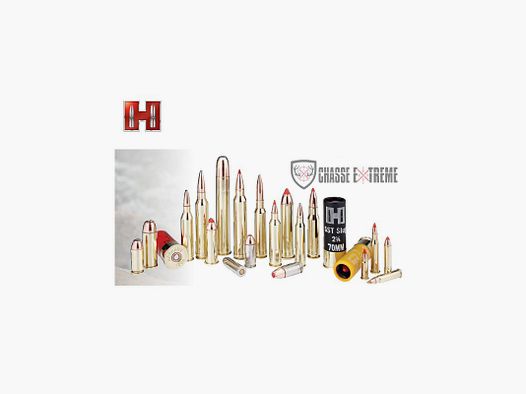 25 patronen HORNADY Varmint Express Centrale 22 Hornet 35 Gr V-Max
