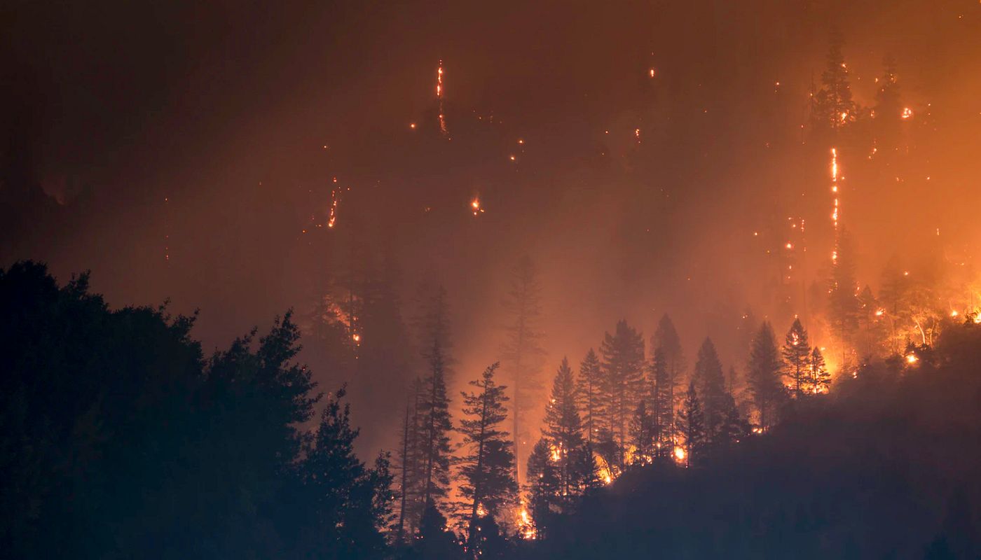 Achtung! Waldbrand!