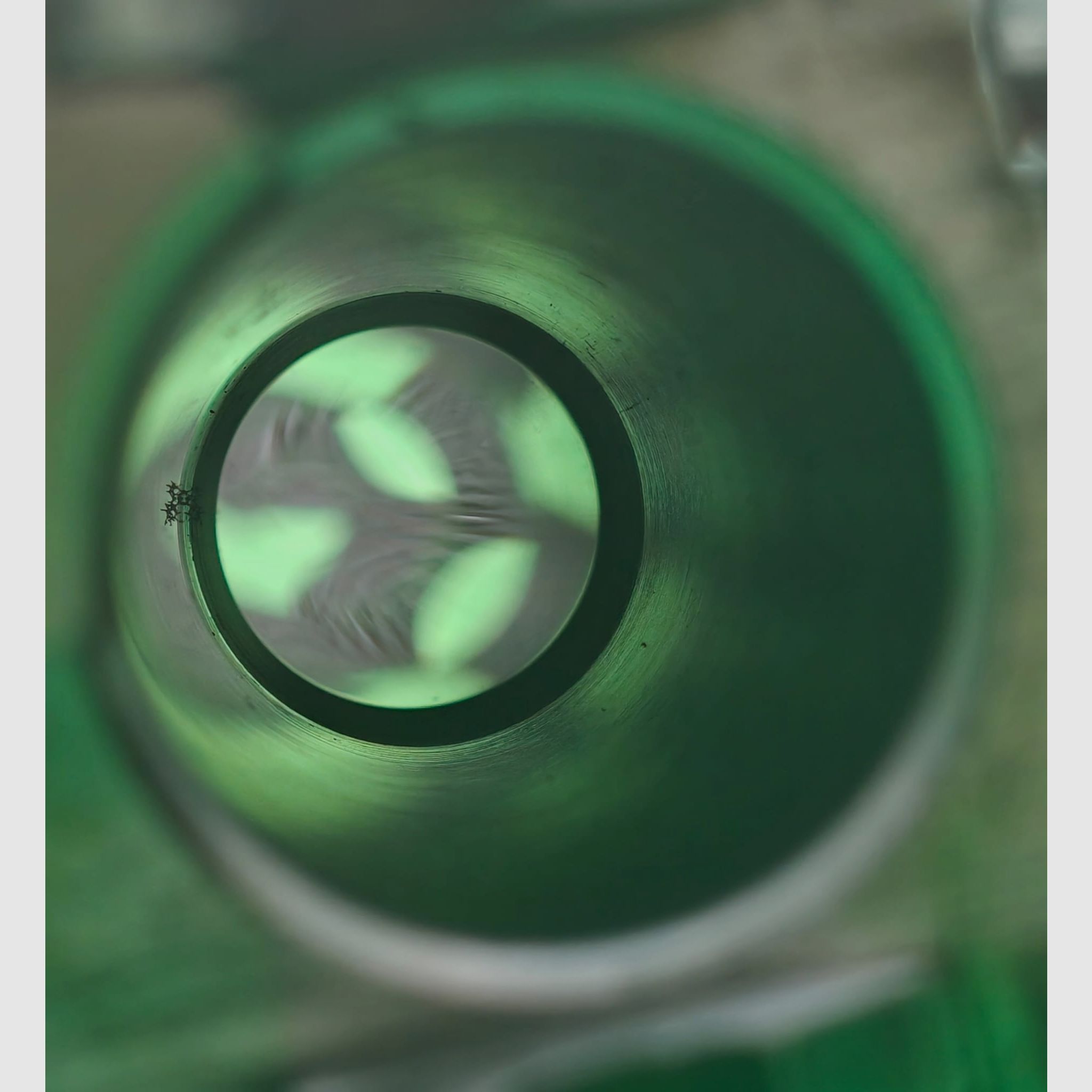 Tatra BBF 12/70 de Brünn & 7x65R – très bon état avec Kettner 8x56 sur montage pivotant