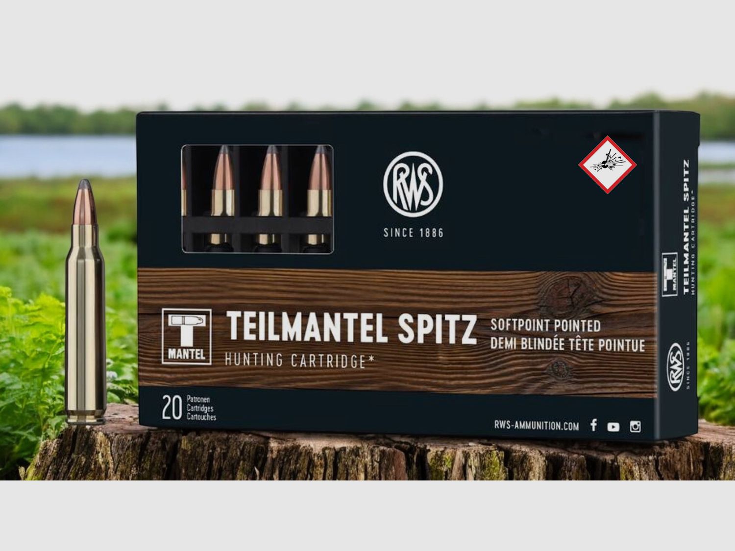 RWS Büchsenpatrone TMS Kal. .223 Rem 55gr / 3,6 g