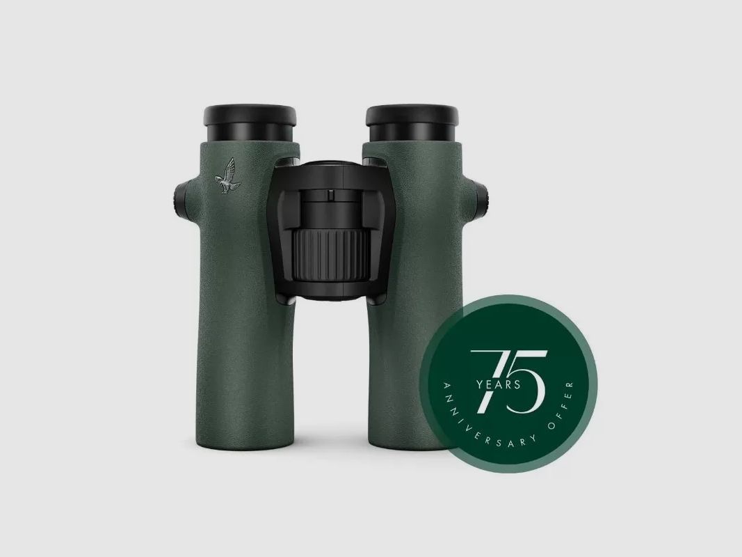 Swarovski Optik NL PURE 10x32 Fernglas grün, Bild 1 von 7