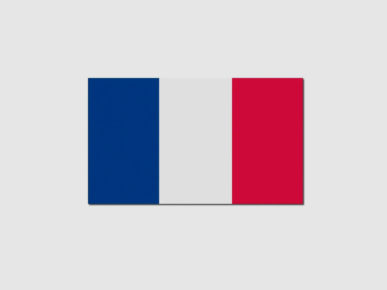 Diverse Flagge Frankreich