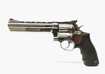 Taurus 44