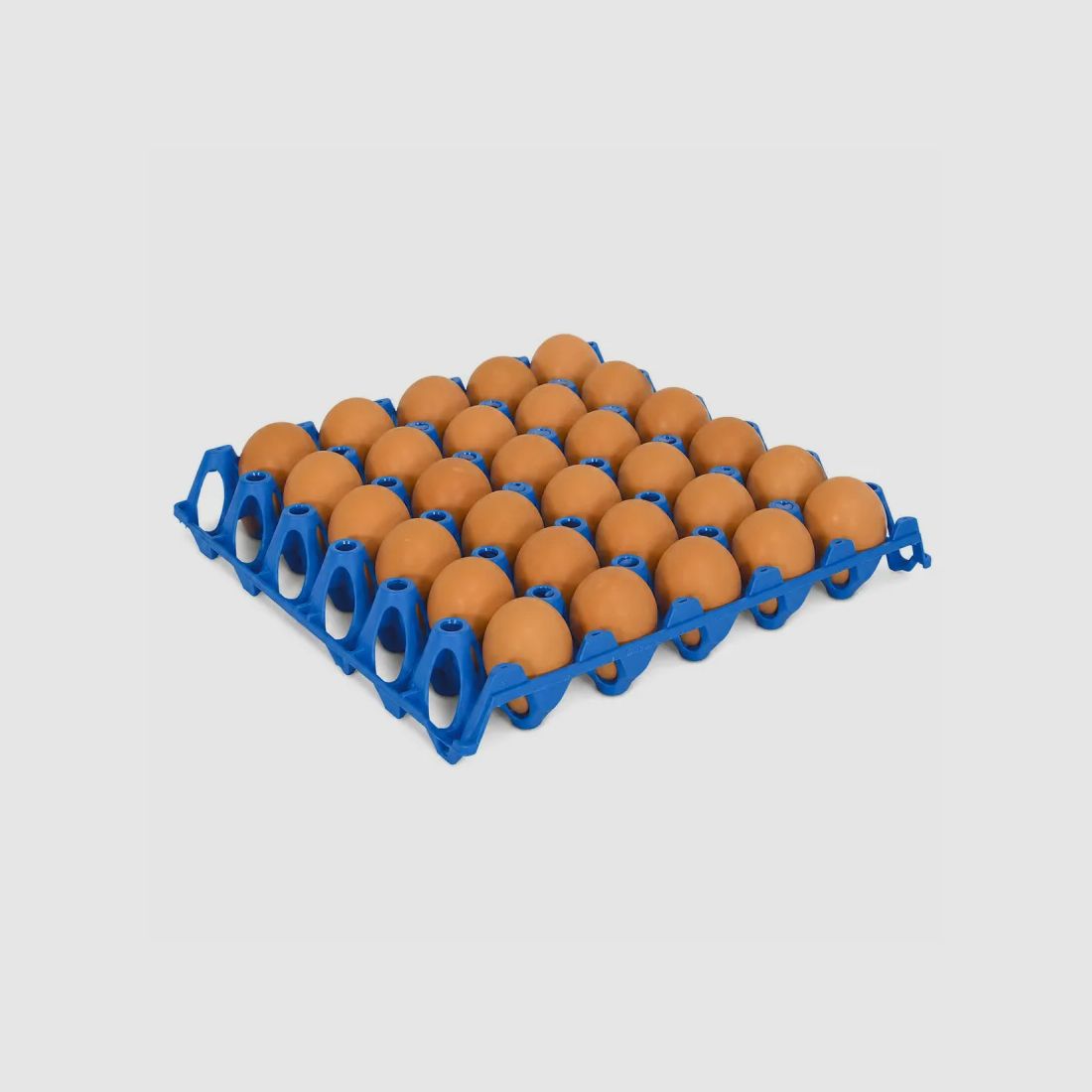 Vassoio per 30 uova in plastica impilabile 30 × 30 cm, venduto singolarmente, immagine 2 di 5
