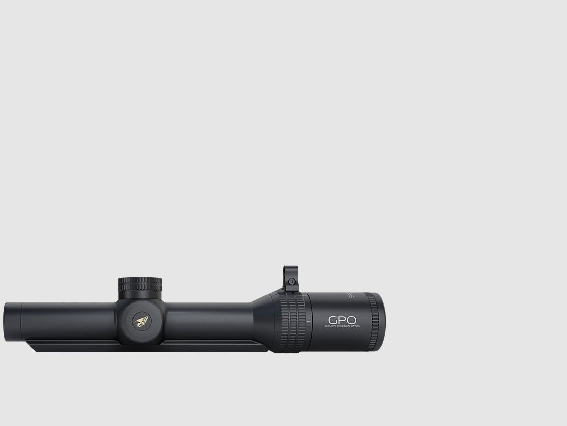 SPECTRA 6x 1-6x24i con riel