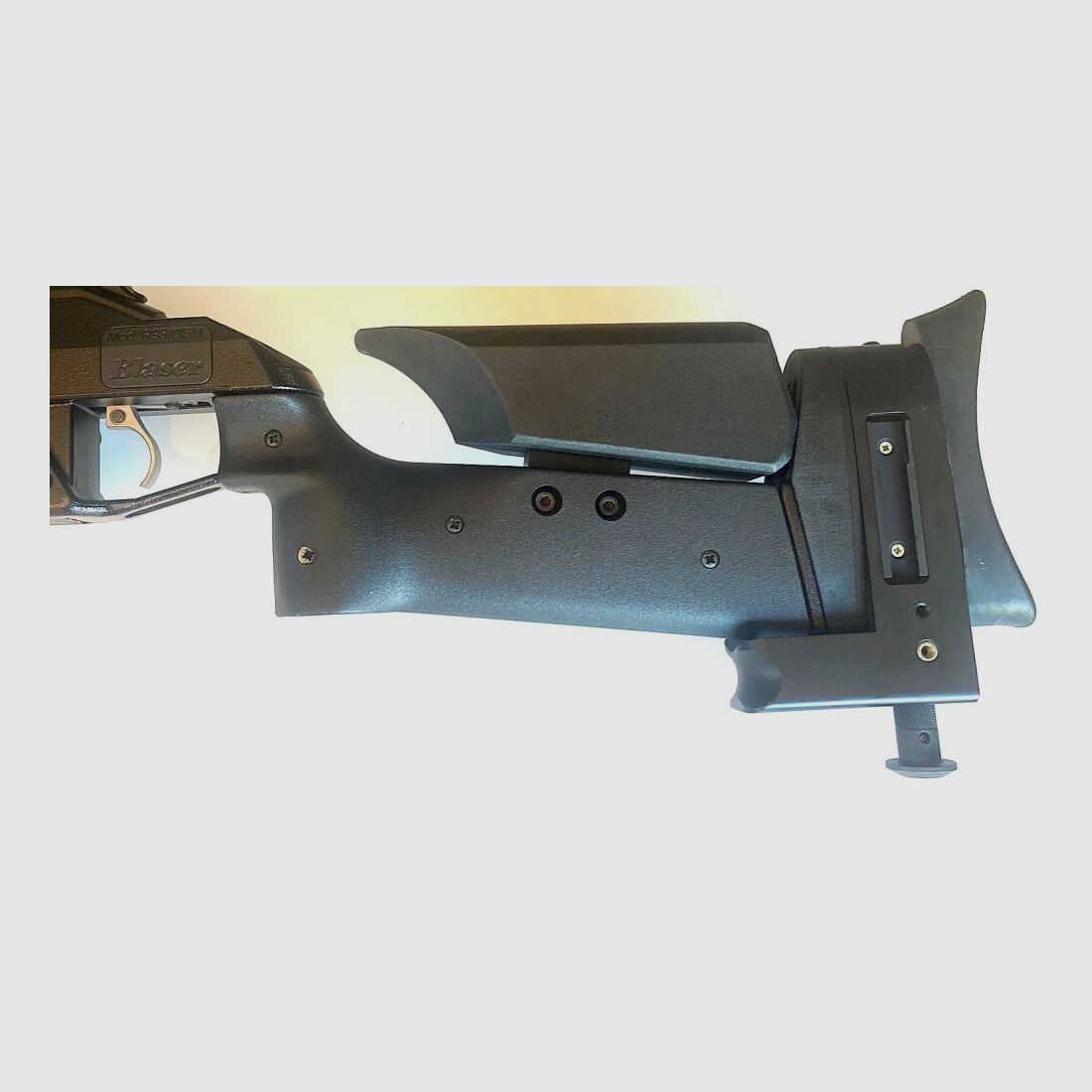 Blaser R93 Tactical (CISM)