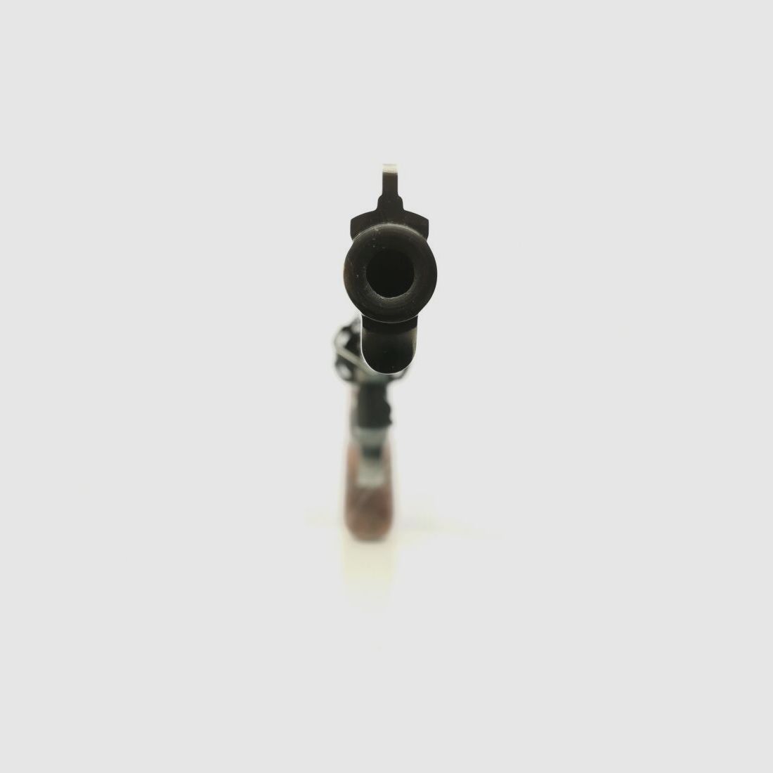 Taurus 669 * 6" canon