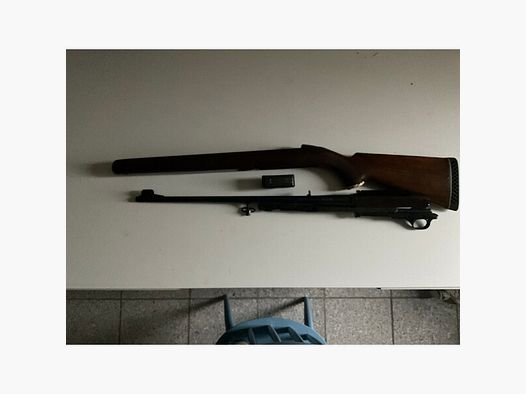 Winchester 100