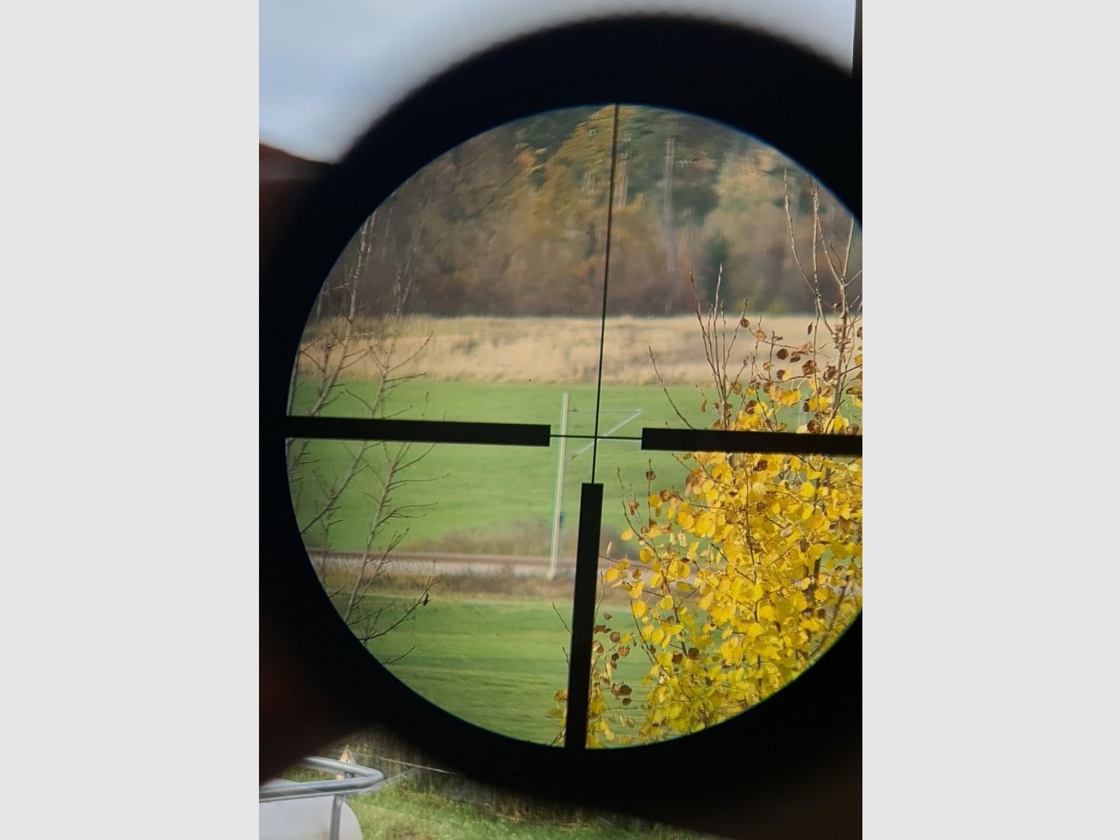 Jumelle de chasse Frankonia 8x56