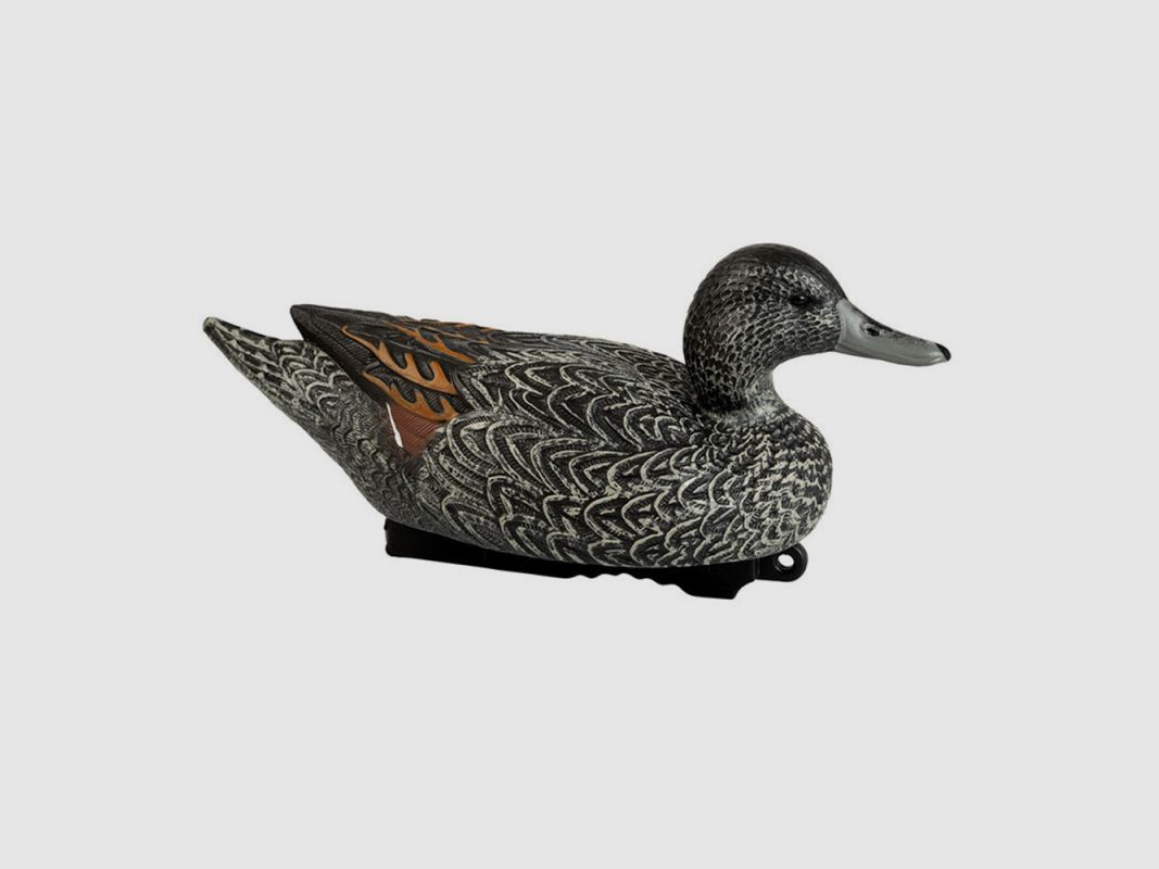 FORME STEPLAND PILET HD, image 2 of 2