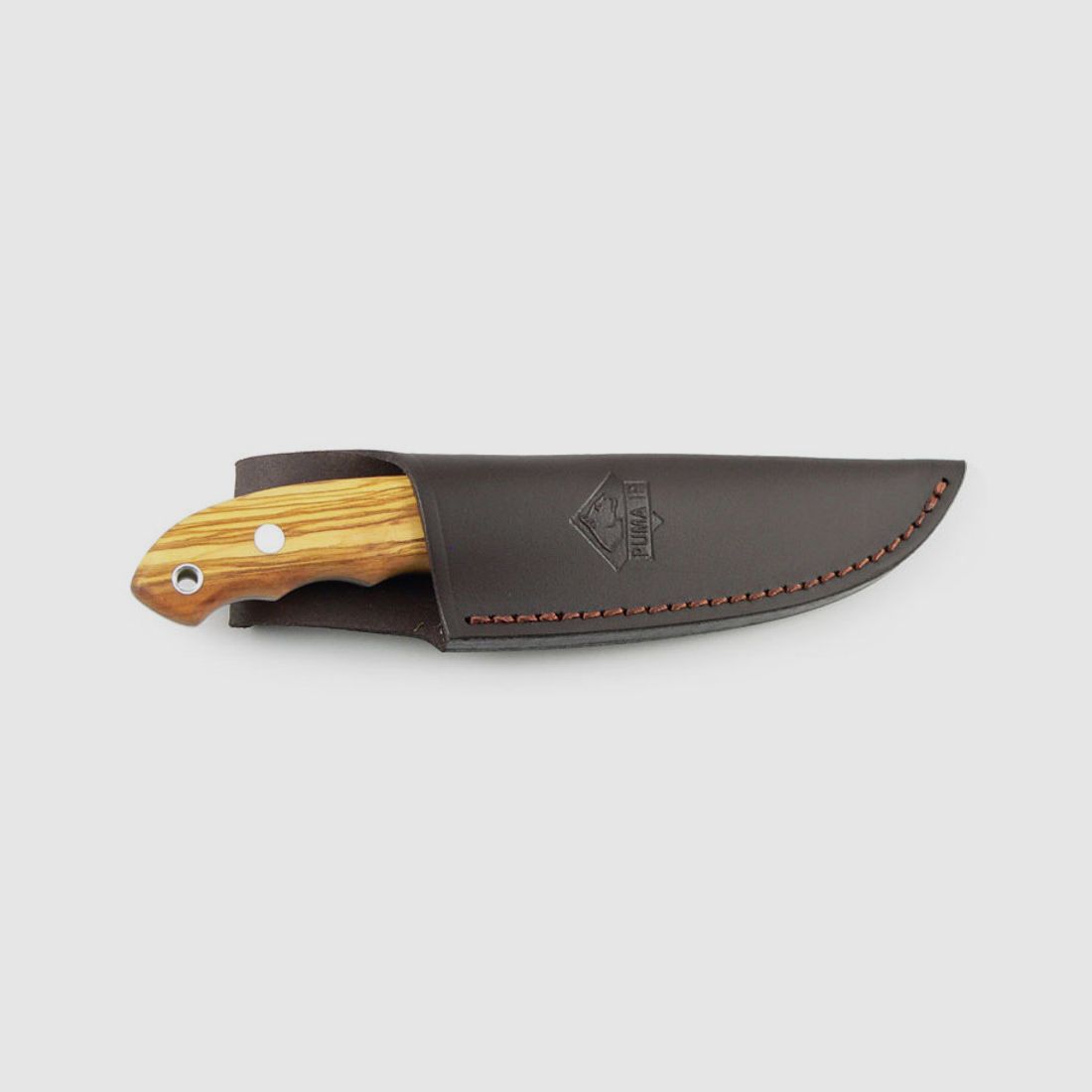 PUMA IP ebro, olive