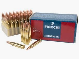 FIOCCHI 223 FMJ