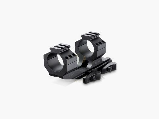 BURRIS AR-PEPR Montage mit Ringen 30mm