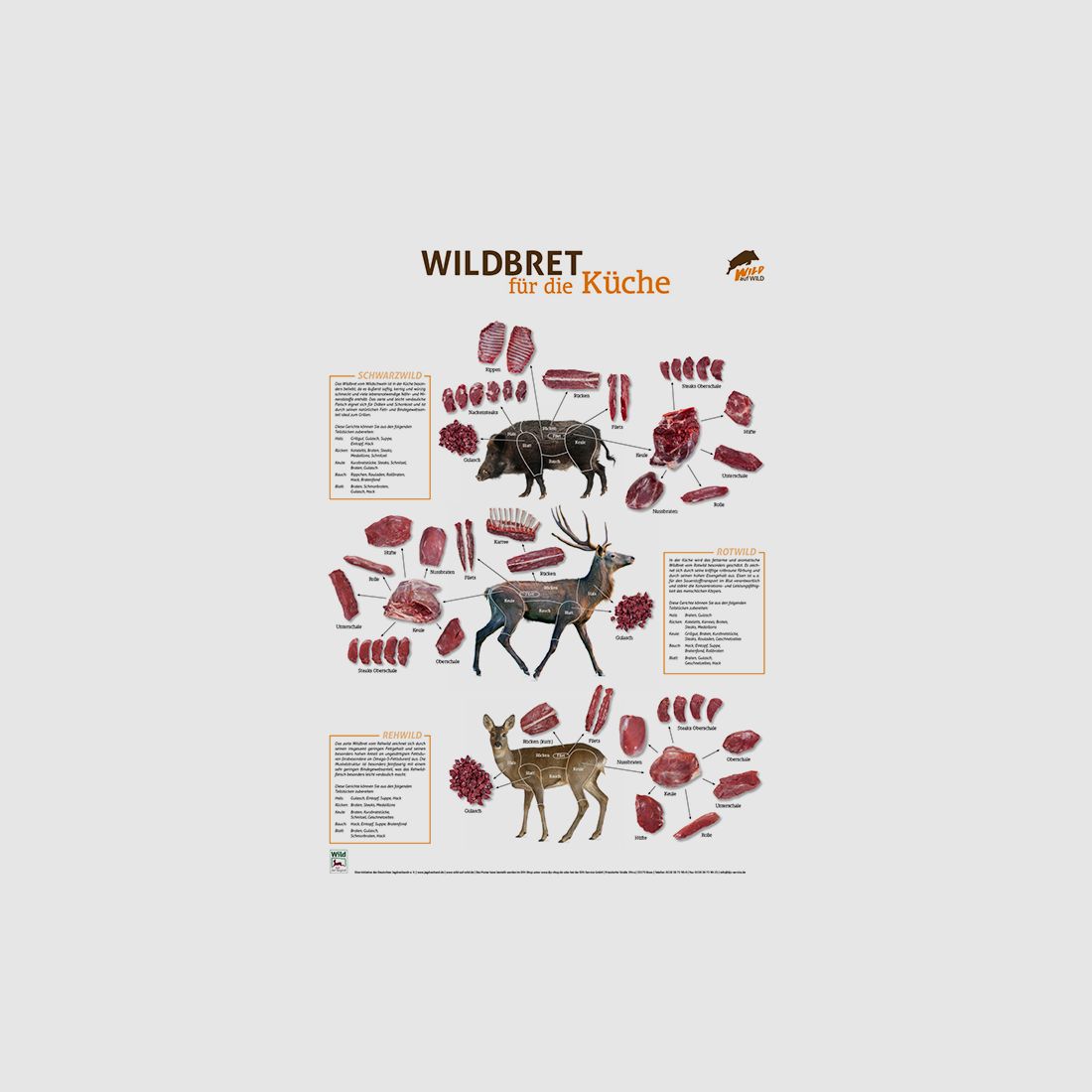 Wildbret-Poster Hoch- und Rehwild PVC