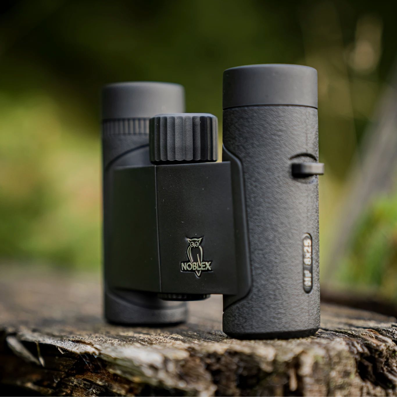 NF 8x25 inception