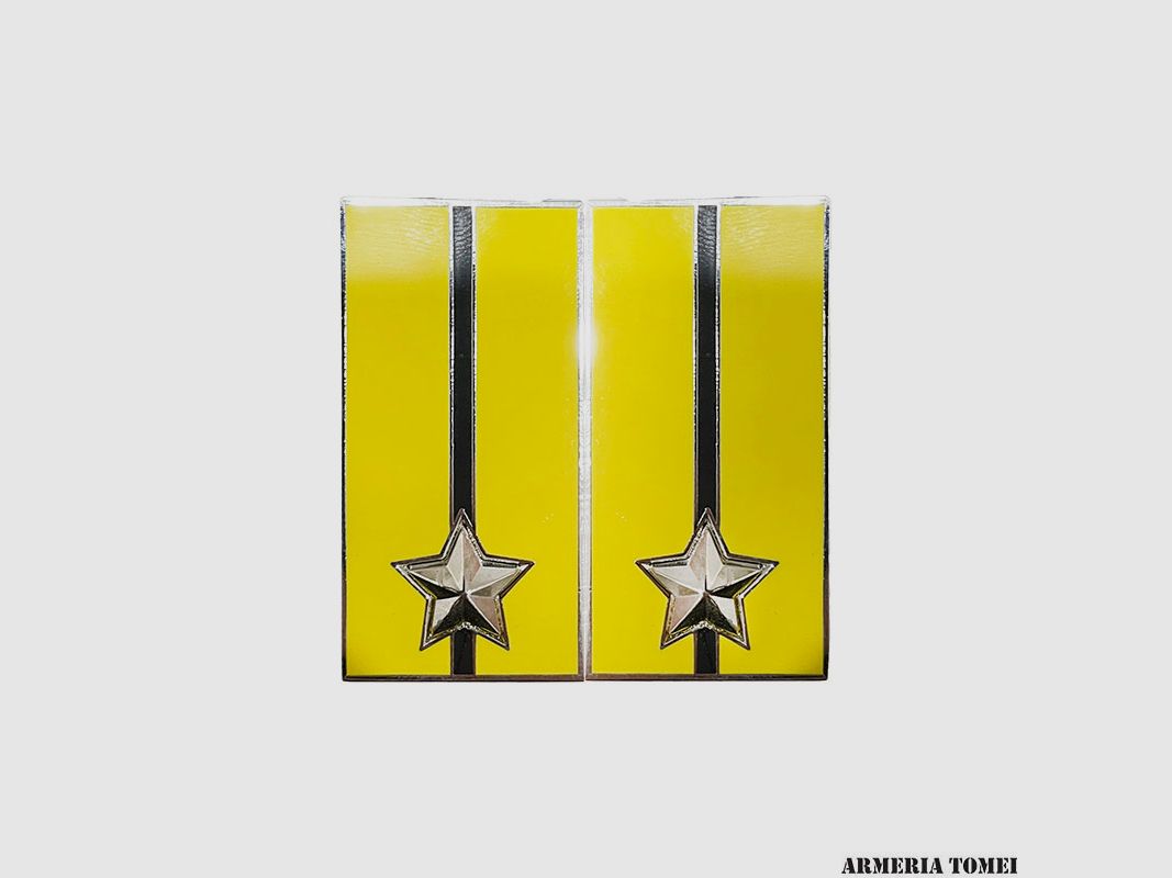 HEER – PAAR ABZEICHEN DIVISION AQUA