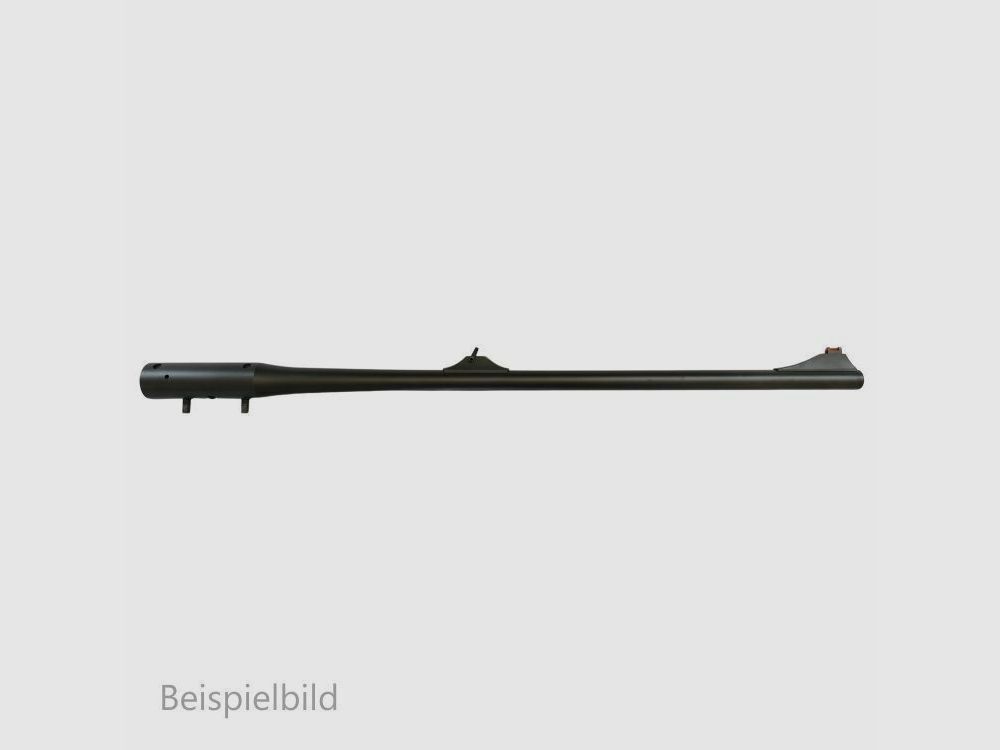 Blaser WL R8