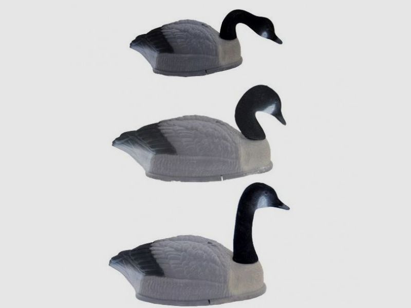 Canada geflockte gans stapelbare ganzen 6 stuks