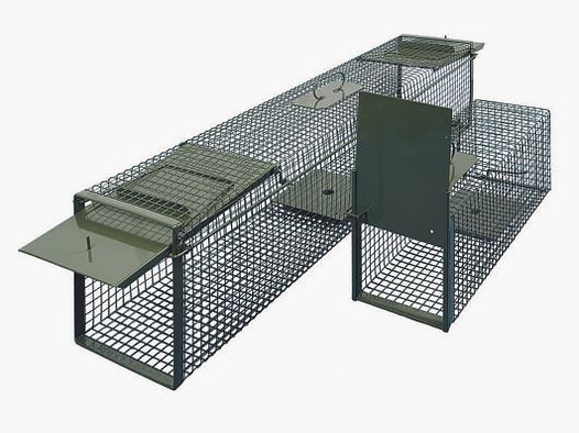 DAUTHvertrieb Lebendfangfalle Draht 2türig 134x28x32cm