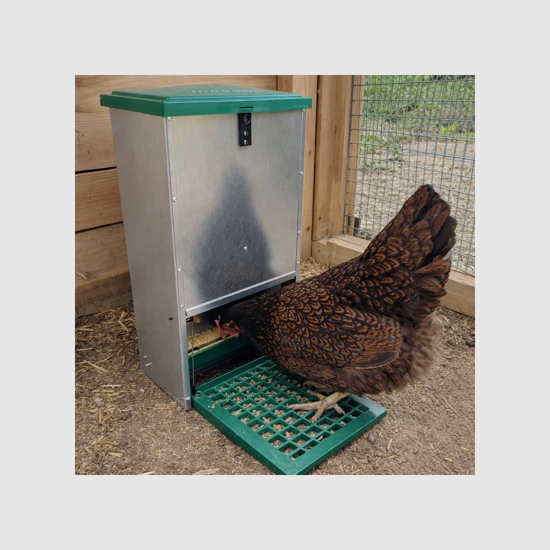 Pest-resistant feeder Olba Feedomatic 12 kg with pedal, image 3 of 5