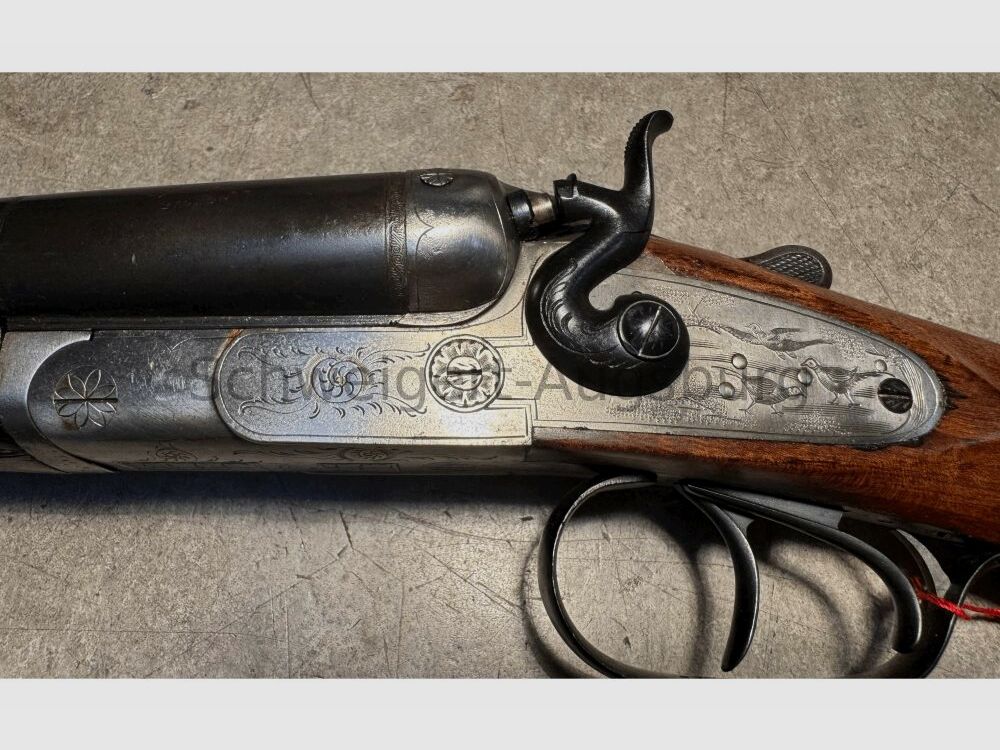 Pieper Steel Bayard Hahn Double-barrel Shotgun 12/70;12/70