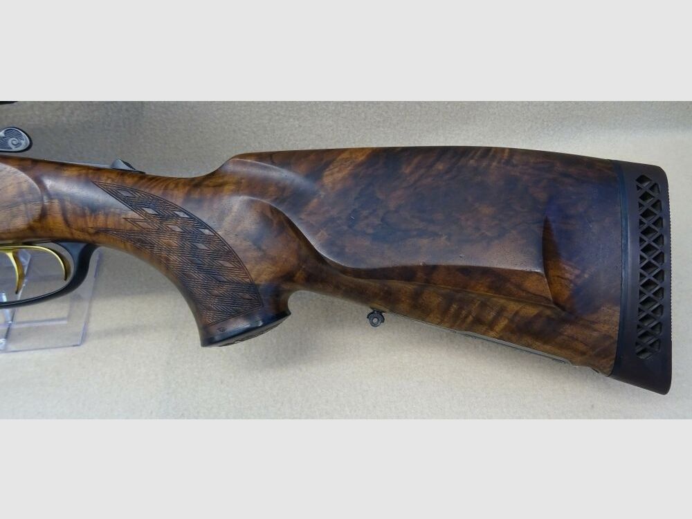 Blaser BS 95