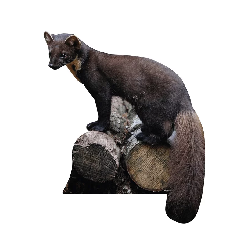 Dierstandaard Baummarder