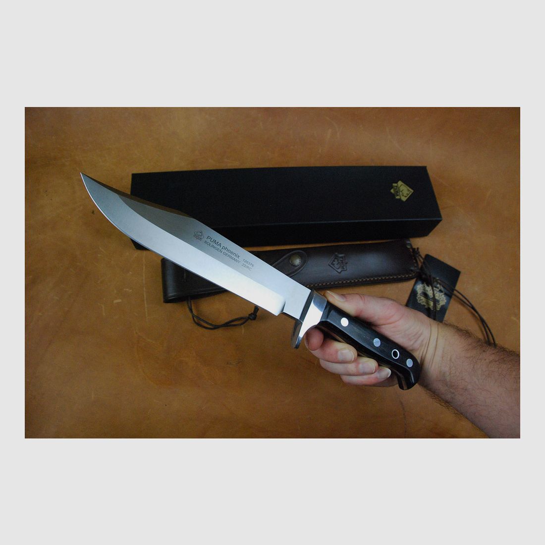 Sehr stabiles Puma Bowie-Messer Phoenix, Vollerl, Ebenholz, Sattellederscheide