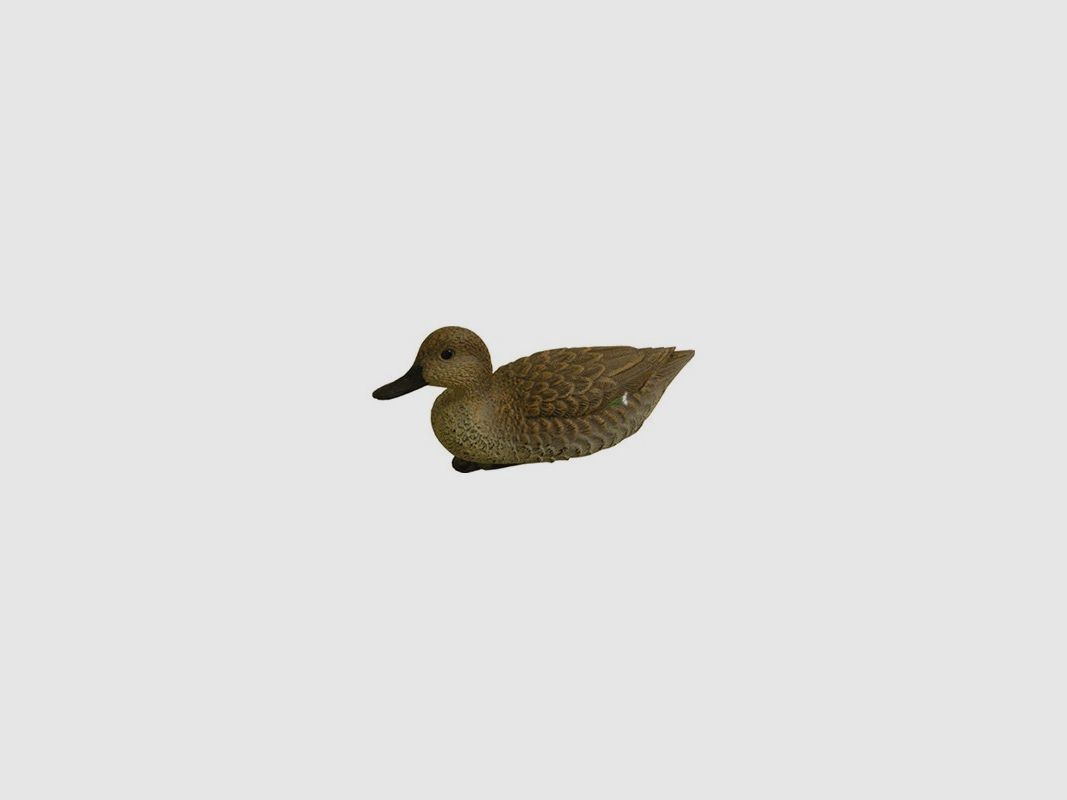 Moule de Canard Femelle