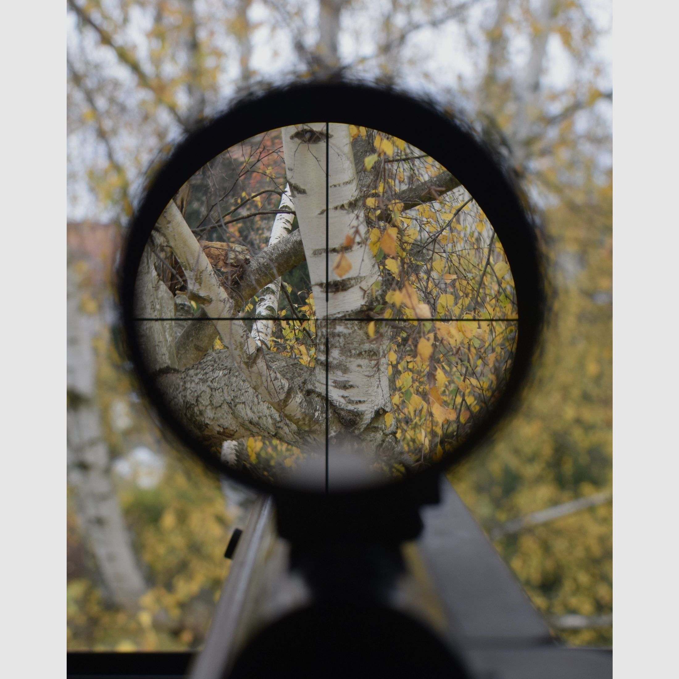 Air rifle Walther LGR sniper conversion completely revised