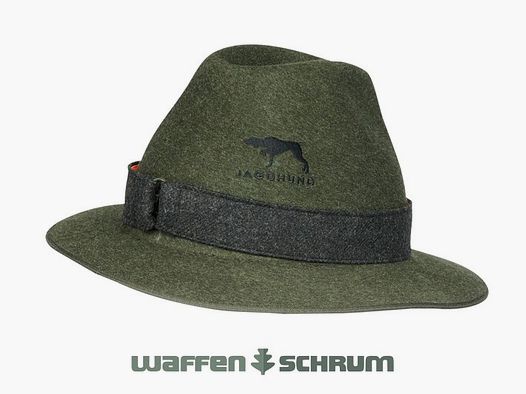 Chien de chasse Signalhut Graz Vert