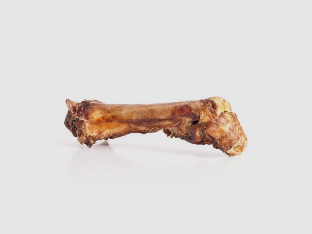 Mascota Vital Hundesnack Pferde-Knochen mit Sehne