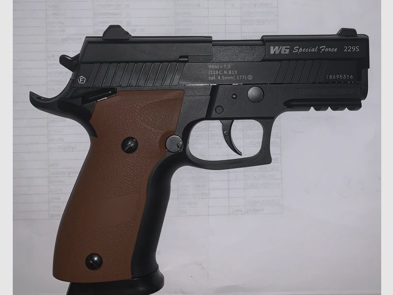 Sig Sauer P226 Bruni Guns Blow-Back