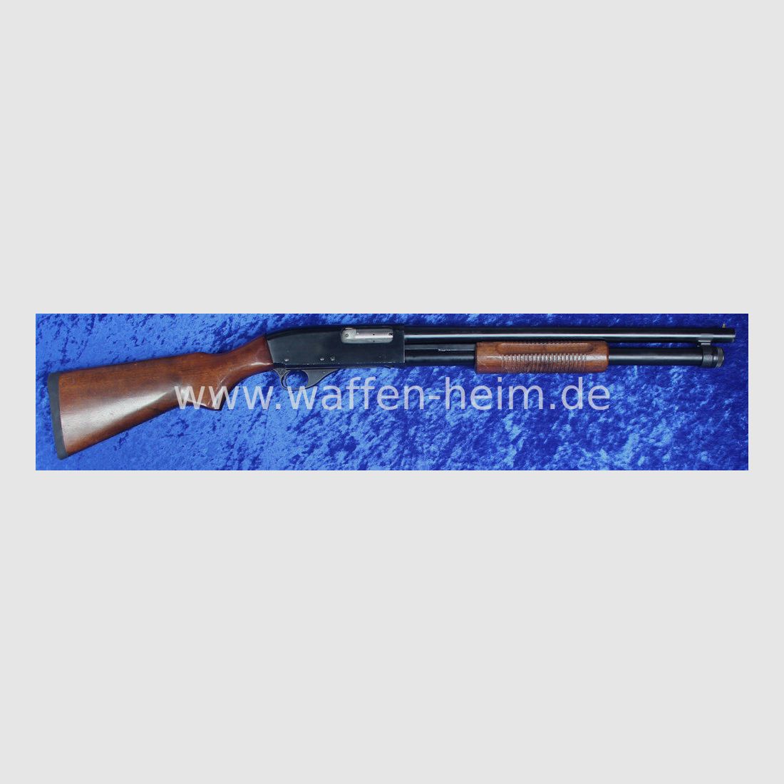 CBC 586 - P