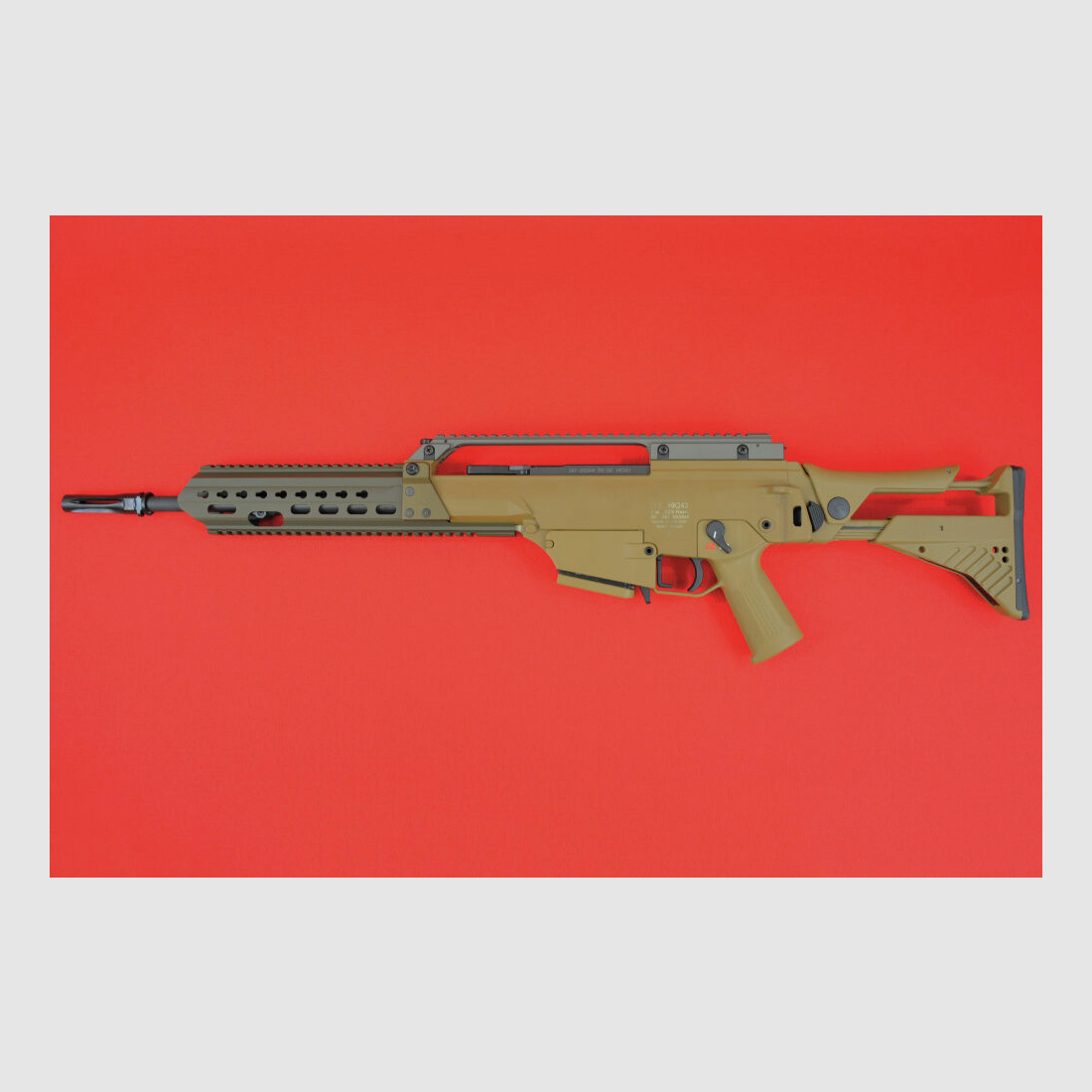 Heckler & Koch HK243 S TAR RAL 8000