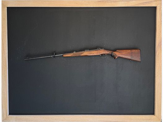 Gute Gebrauchsbüchse: CZ Kal. 30-06
